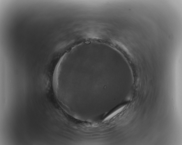 X0000089831303200707051031