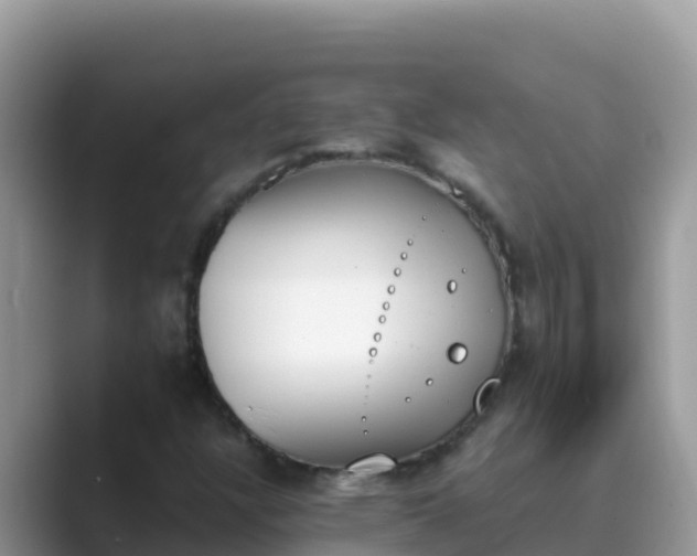 X0000089831304200707051031