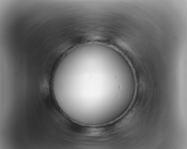 X0000089831305200707051031