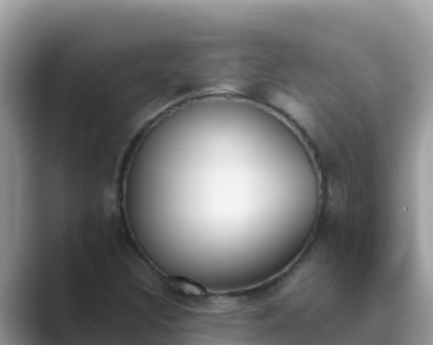 X0000089831308200707051031