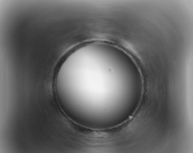 X0000089831312200707051031