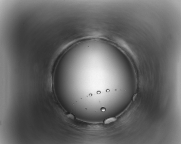 X0000089831320200707051031