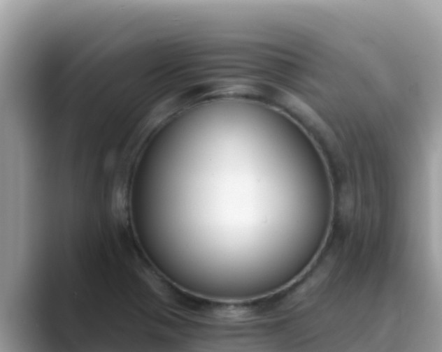 X0000089831321200707051031