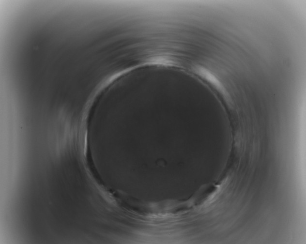 X0000089831323200707051031