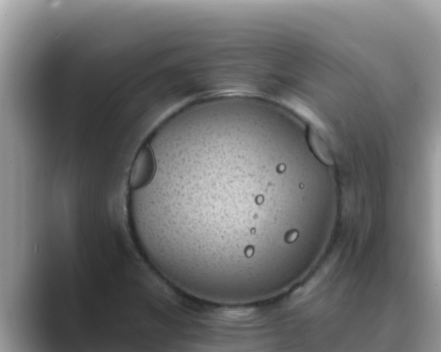 X0000089831325200707051031