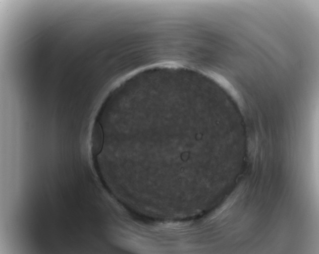 X0000089831327200707051031