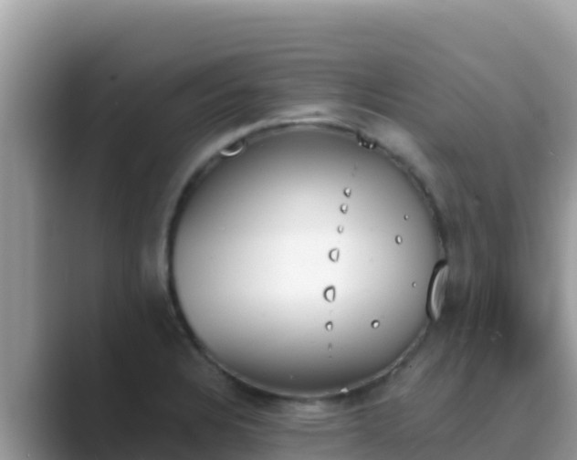 X0000089831328200707051031