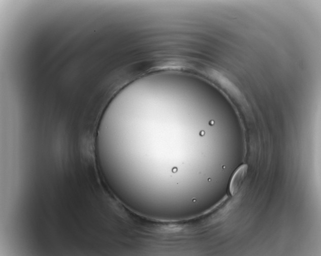 X0000089831329200707051031