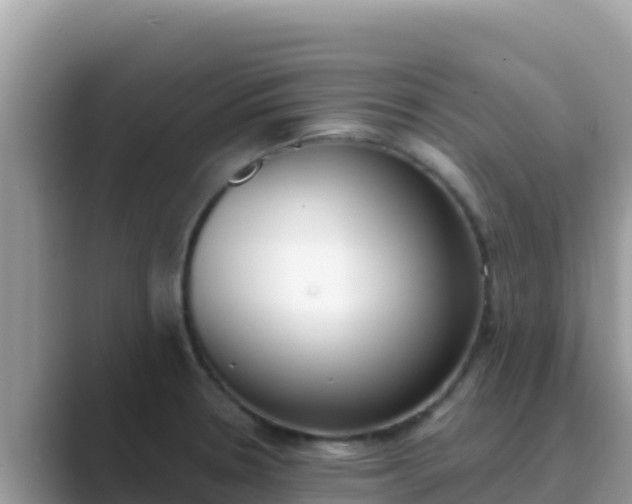 X0000089831330200707051031