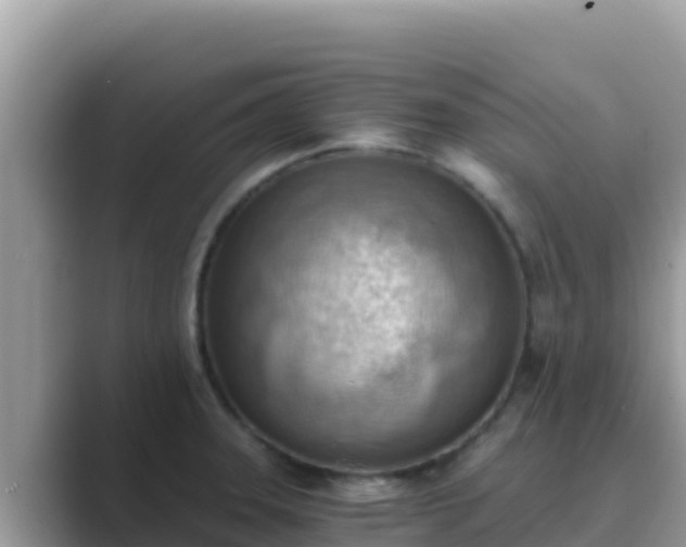 X0000089831331200707051032