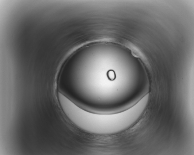 X0000089831332200707051032