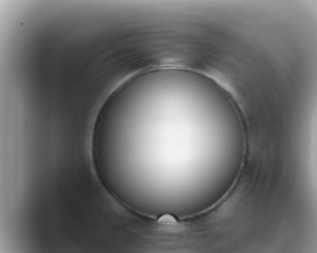 X0000089831333200707051032