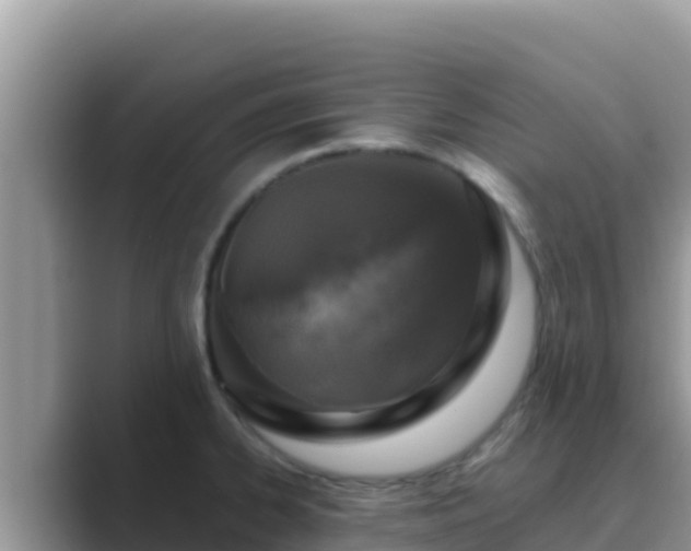 X0000089831334200707051032