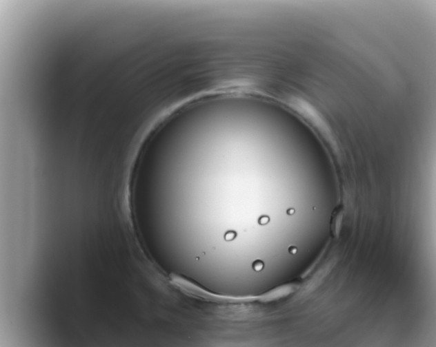 X0000089831336200707051032