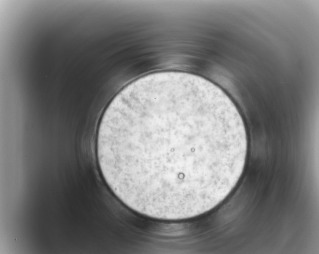 X0000089831338200707051032