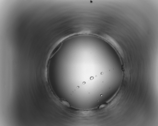 X0000089831340200707051032