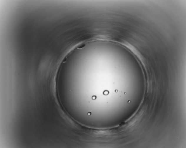 X0000089831341200707051032