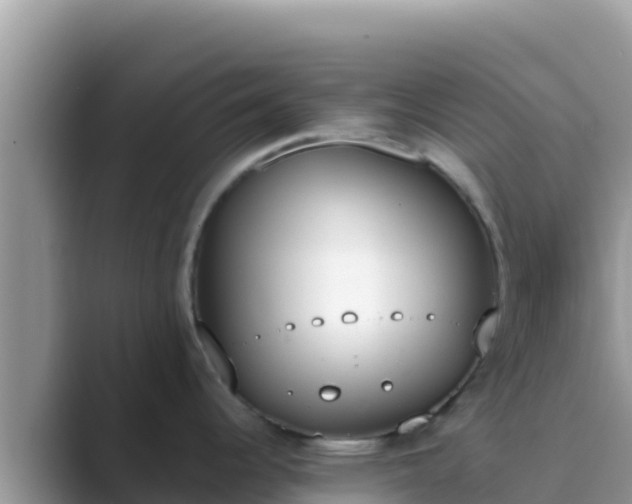 X0000089831344200707051032