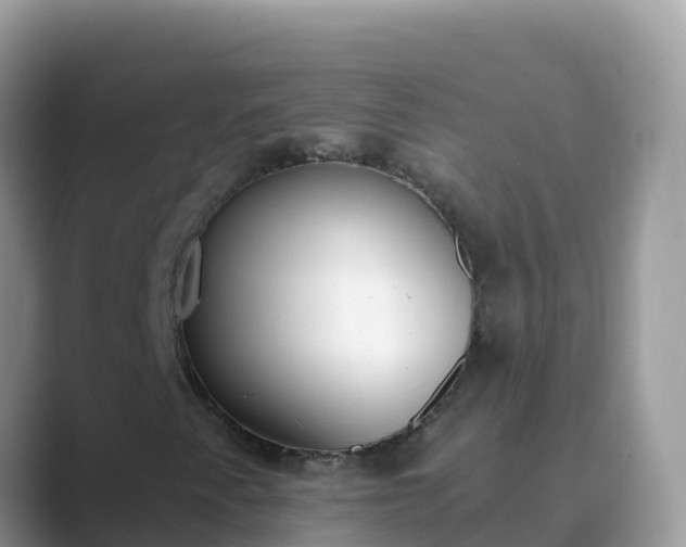 X0000089831345200707051031