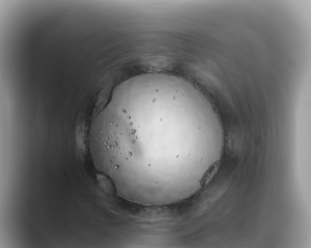 X0000089831346200707051031