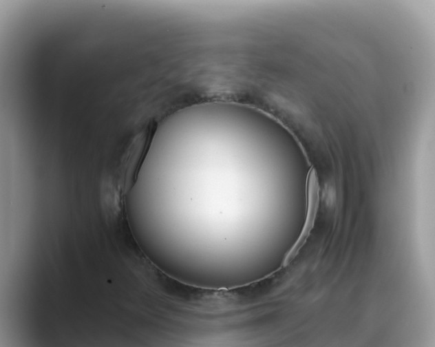 X0000089831348200707051031