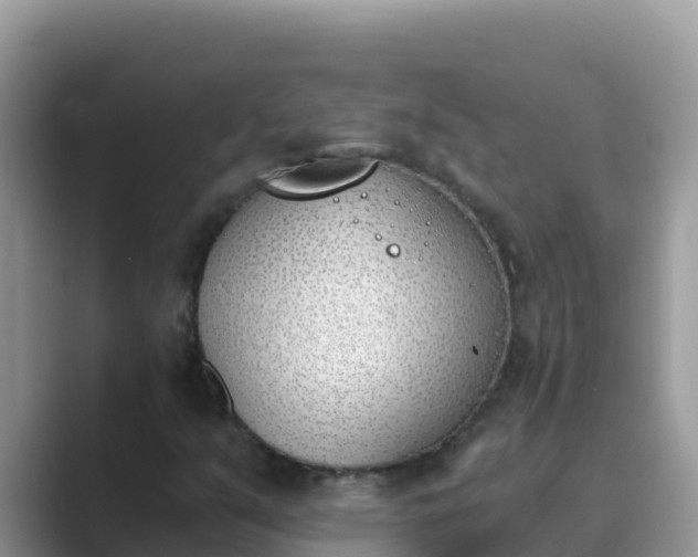 X0000089831351200707051031