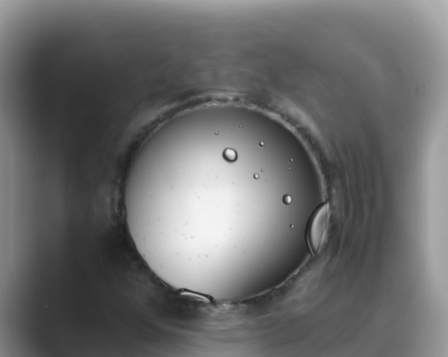 X0000089831352200707051031