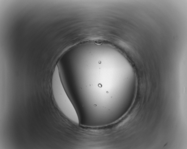 X0000089831361200707051031