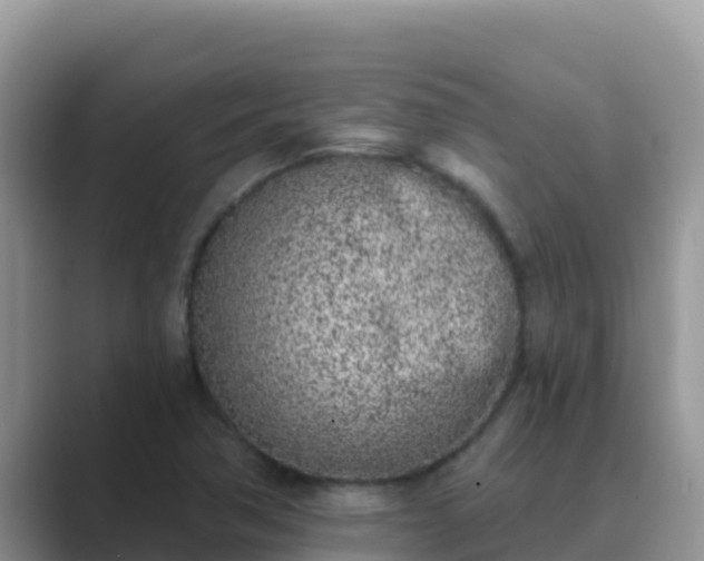 X0000089831362200707051031