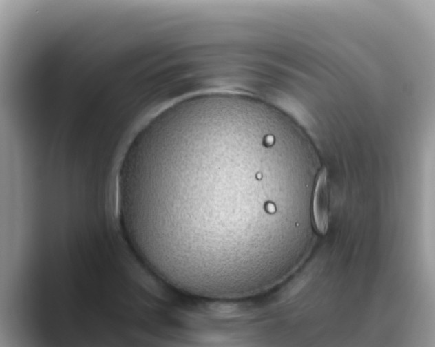 X0000089831371200707051031