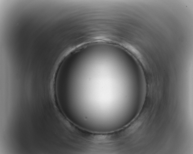 X0000089831373200707051031