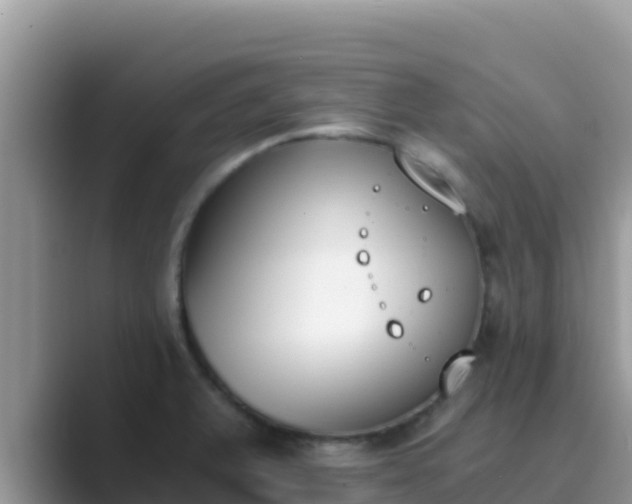 X0000089831375200707051031