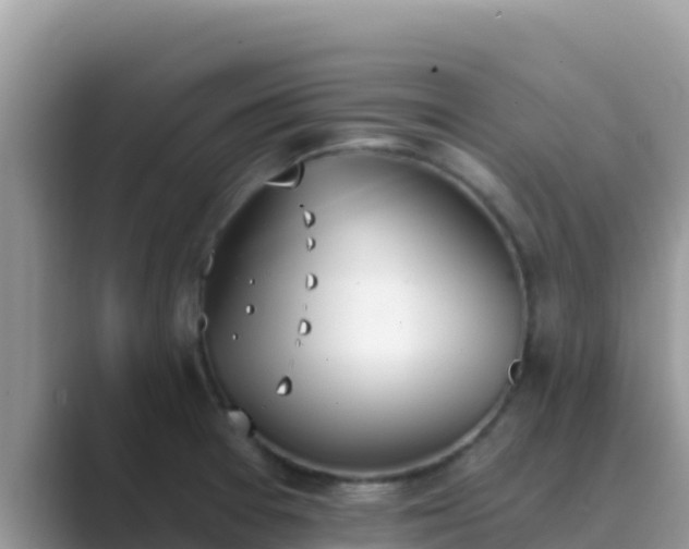 X0000089831377200707051031