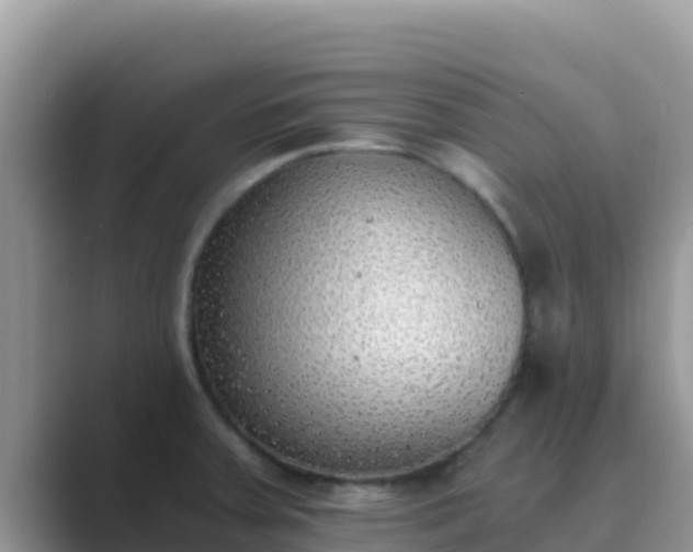 X0000089831379200707051031