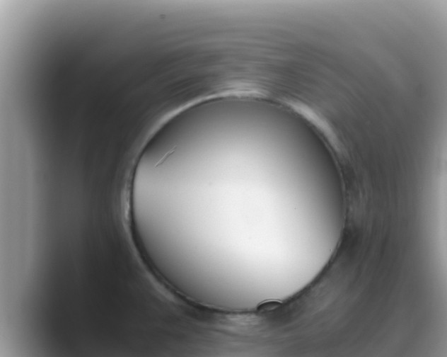 X0000089831383200707051031