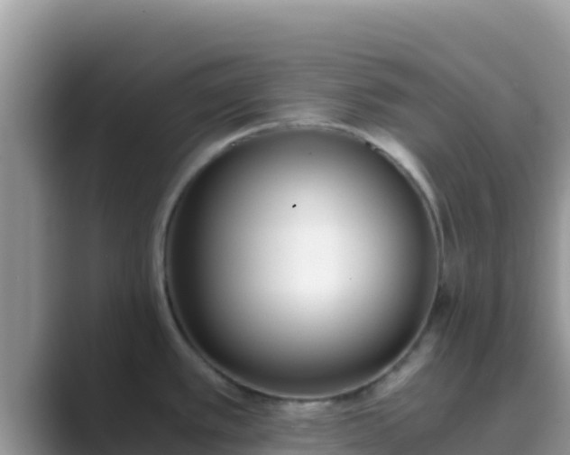 X0000089831389200707051031