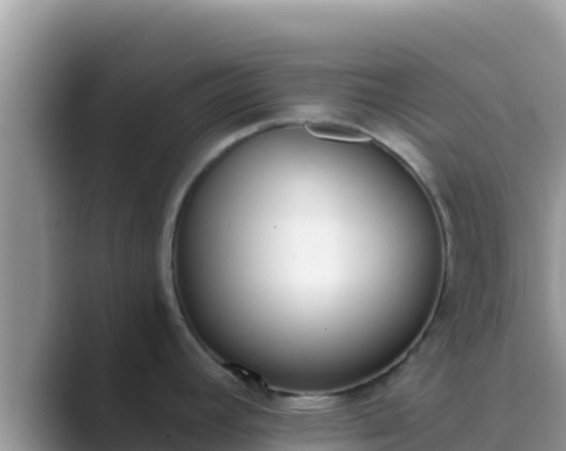 X0000089831392200707051030