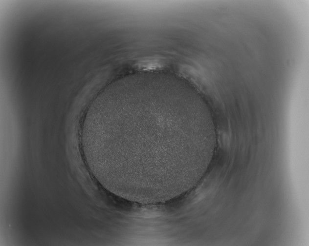 X0000089831393200707051030