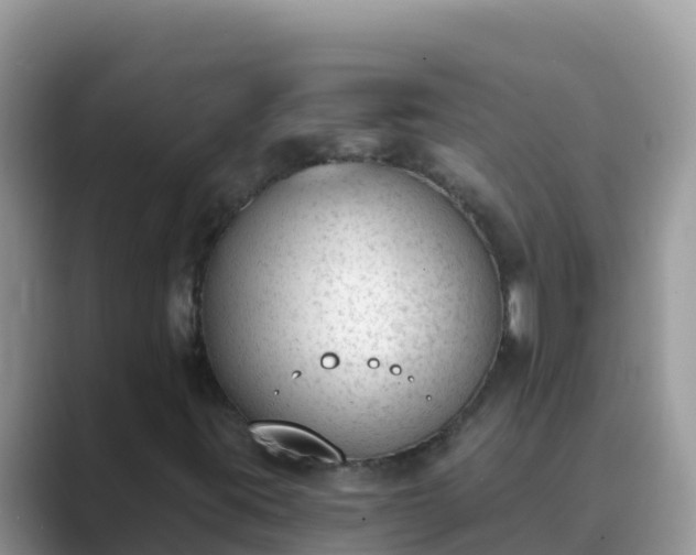 X0000089831395200707051030