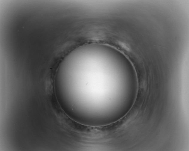 X0000089831398200707051030