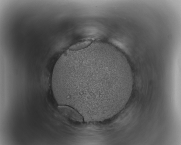 X0000089831399200707051030