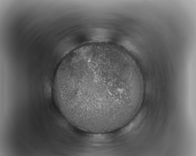 X0000089831401200707051030