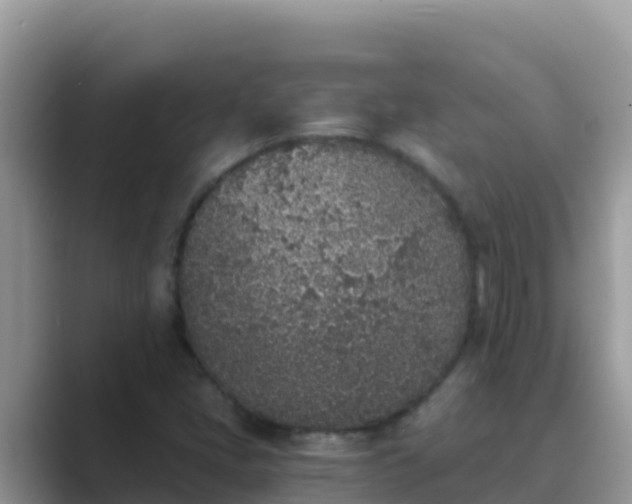 X0000089831405200707051030