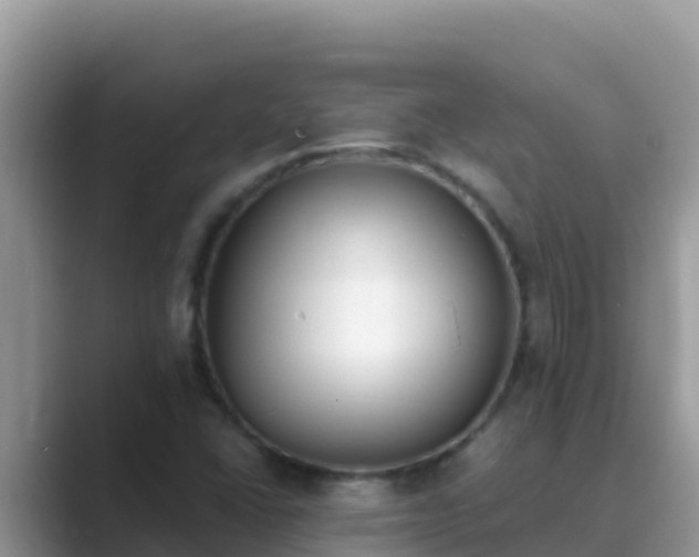 X0000089831406200707051030