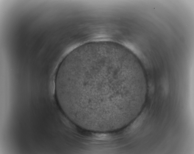 X0000089831413200707051030