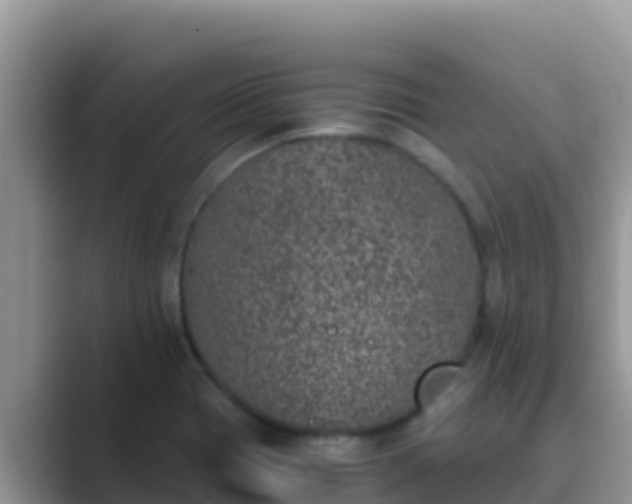 X0000089831417200707051030