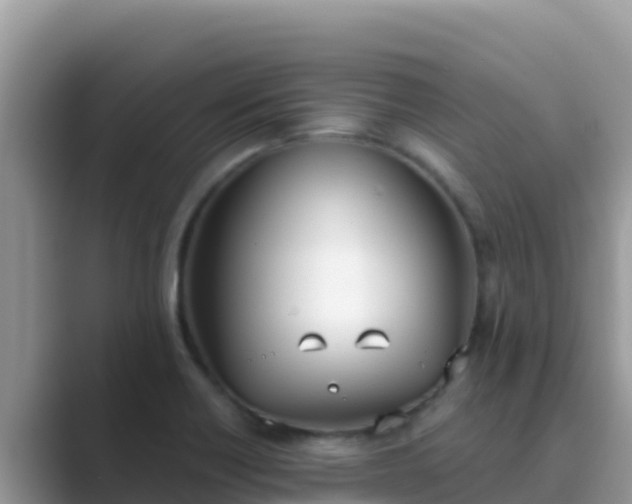 X0000089831418200707051030