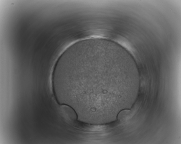 X0000089831423200707051030