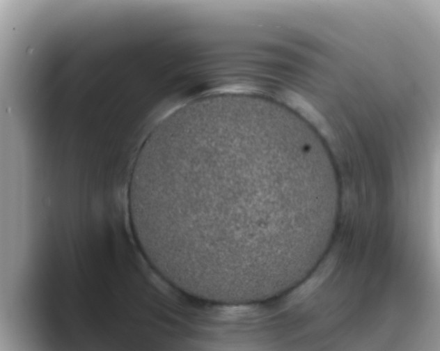 X0000089831425200707051030