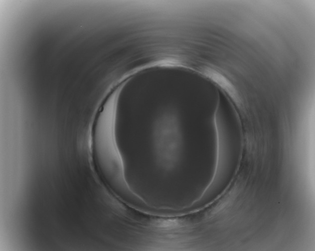 X0000089831428200707051030